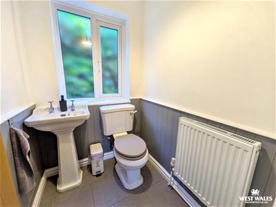 Picture 14
